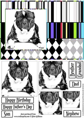 Staffie on Stripes A5 Pyramid