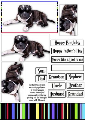 Staffie Cool & Liquorice Stripe Topper