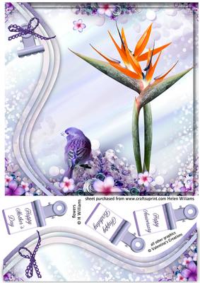 Swirl Border & Bird of Paradise 8x8inch Topper