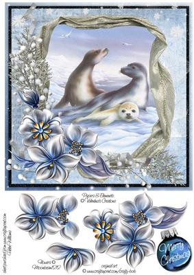 Winter Flowers & Seals in Snow 8x8inch Step by Step