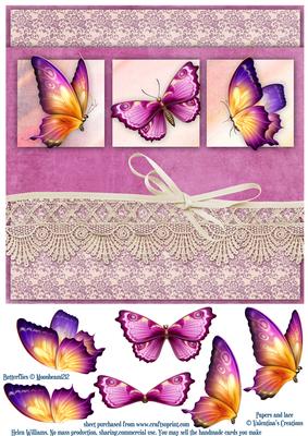 Butterfly Trio & Vintage Lace 8x8in Step by Step