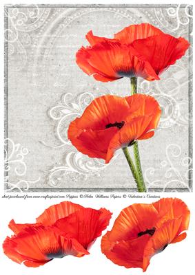 Poppy Duo on Grey 8x8inch Step by Step