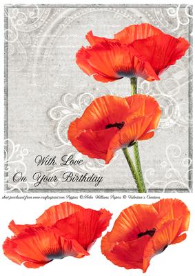Poppy Duo on Grey 8x8inch Birthday Step by Step