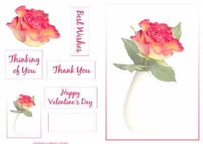 Single Orange & Yellow Rose Sh0046b