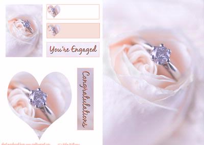 Engagement Card Ring in a Rose Sh0063