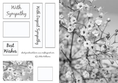 Black & White Gypsophilia Sympathy Quick Card Sh0069