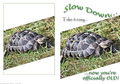 Retirement, 65th, 60th Birthday Tortoise Card