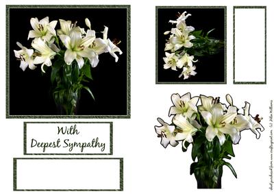 Lily Sympathy Card Fronts. Sh0079