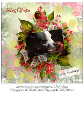 Staffordshire Bull Terrier Thinking of You 8x8inch Topper