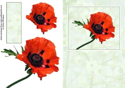 Poppy Card Front & Toppers. Sh0089