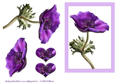 Purple Anemone Card Front, Layering & Topper.