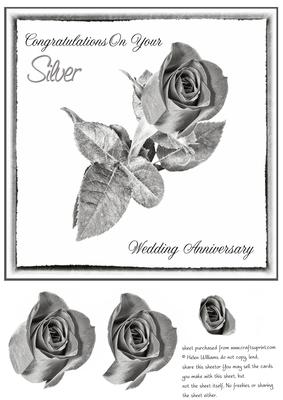 Silver Wedding Anniversary Rose