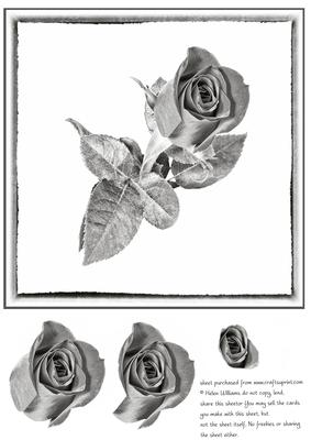 Silver Rose 8inch Square Card Topper