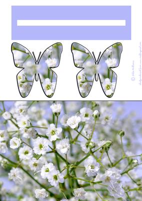 Gysophila Penny Slider Sh0073
