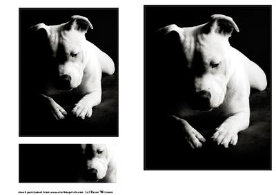 Black & White Staffordshire Bull Terrier Topper