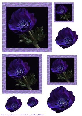 Purple Anemone Card Toppers
