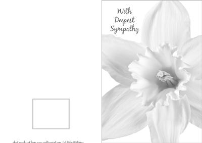 Sympathy Card Black & White Daffodil