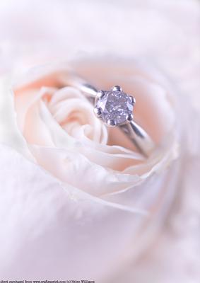 A4 Ring in a Rose Card