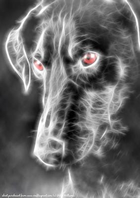 Electrix Doberman A4 Card Front Beware of the Dog Sign