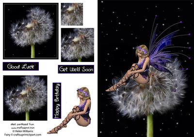 Faery Wishes Good Luck / Birthday / Best Wishes Card Front