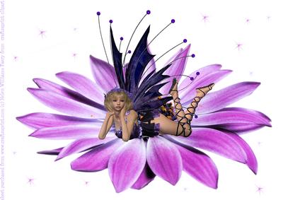 Faery Daisy A4 Card Front