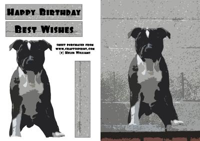 Popart Staffordshire Bull Terrier Card Front