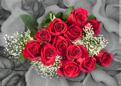 Red Roses & Gypsophila on Textured Black & White Background