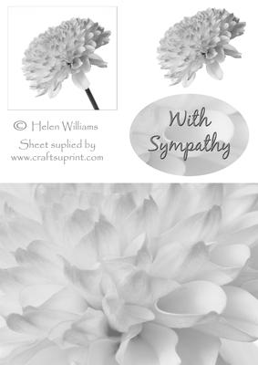 Black & White Sympathy Quick Card with Layering.