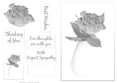 Single Rose Thinking of You, Sympathy Quick Card in Black and White