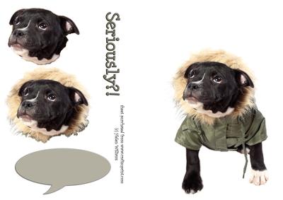 Staffordshire Bull Terrier Pup Card Front