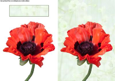 Poppy Card Toppers