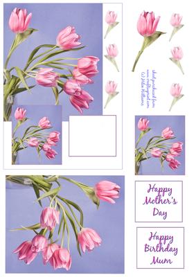 Pink Tulips Mother's Day, Birthday Card Front and Toppers.