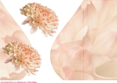 Golden Peach Cream Teardrop Flower Card