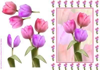 Pretty Tulips Card Front & Decoupage