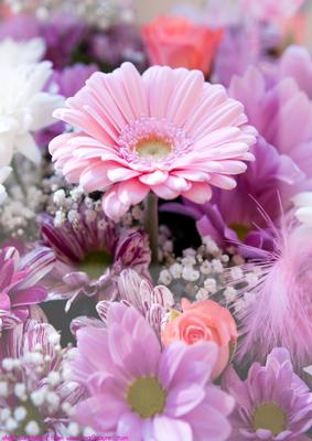 Pink Bouquet A4 Card Front