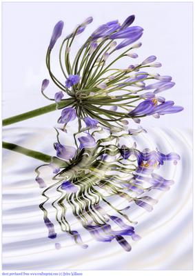 Reflections A4 Card Front