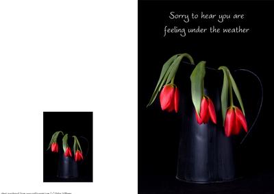 Get Well Soon Tulips