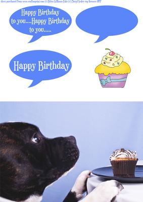 Staffordshire Bull Terrier Birthday Card