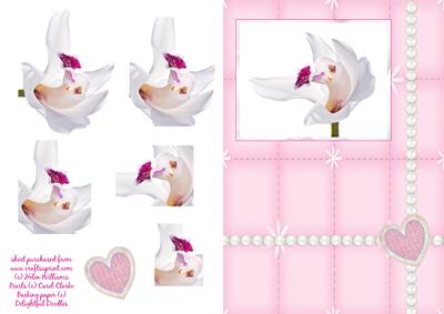 Orchid Card Front with Pyramage