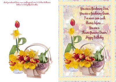 Gardening Diva Daffodil & Tulip Card