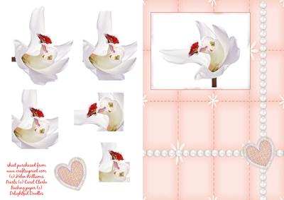 White Orchid on Peach Pyramage Card