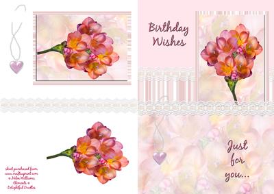 Freisa Birthday Wishes