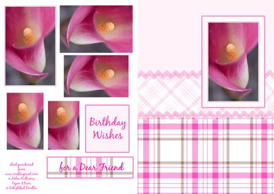 Cala Lily Pink Pyramid Card