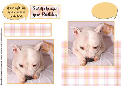 Belated Birthday / Age Related Birthday