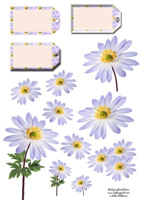 Anemone Floral Embellishments & Tags