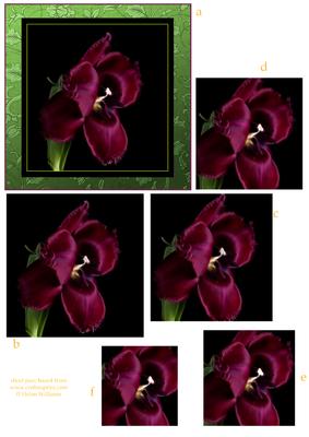 Frilly Tulip 'electric' Pyramid