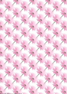 Pink Gerbera Vellum