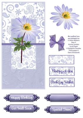 Lilac Anemone Dl Card Front