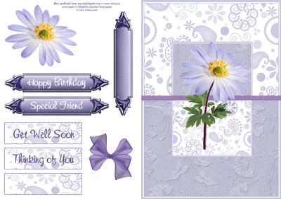 Lilac Anemone Card Front