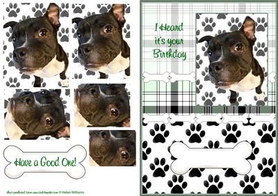 Vinnie the Staffie Pyramid Birthday
